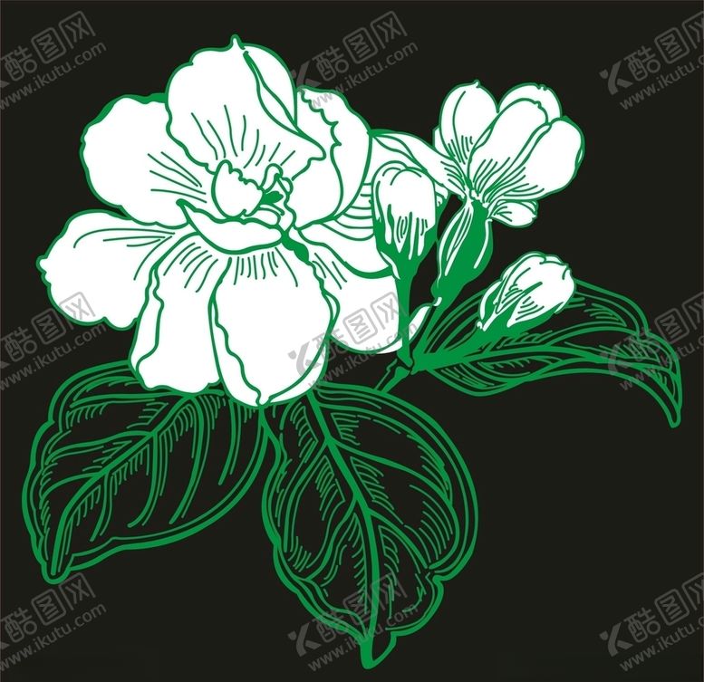 编号：84547609151909056207【酷图网】源文件下载-茉莉花