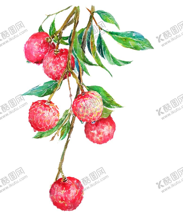 编号：73376707071052555141【酷图网】源文件下载-水彩手绘荔枝