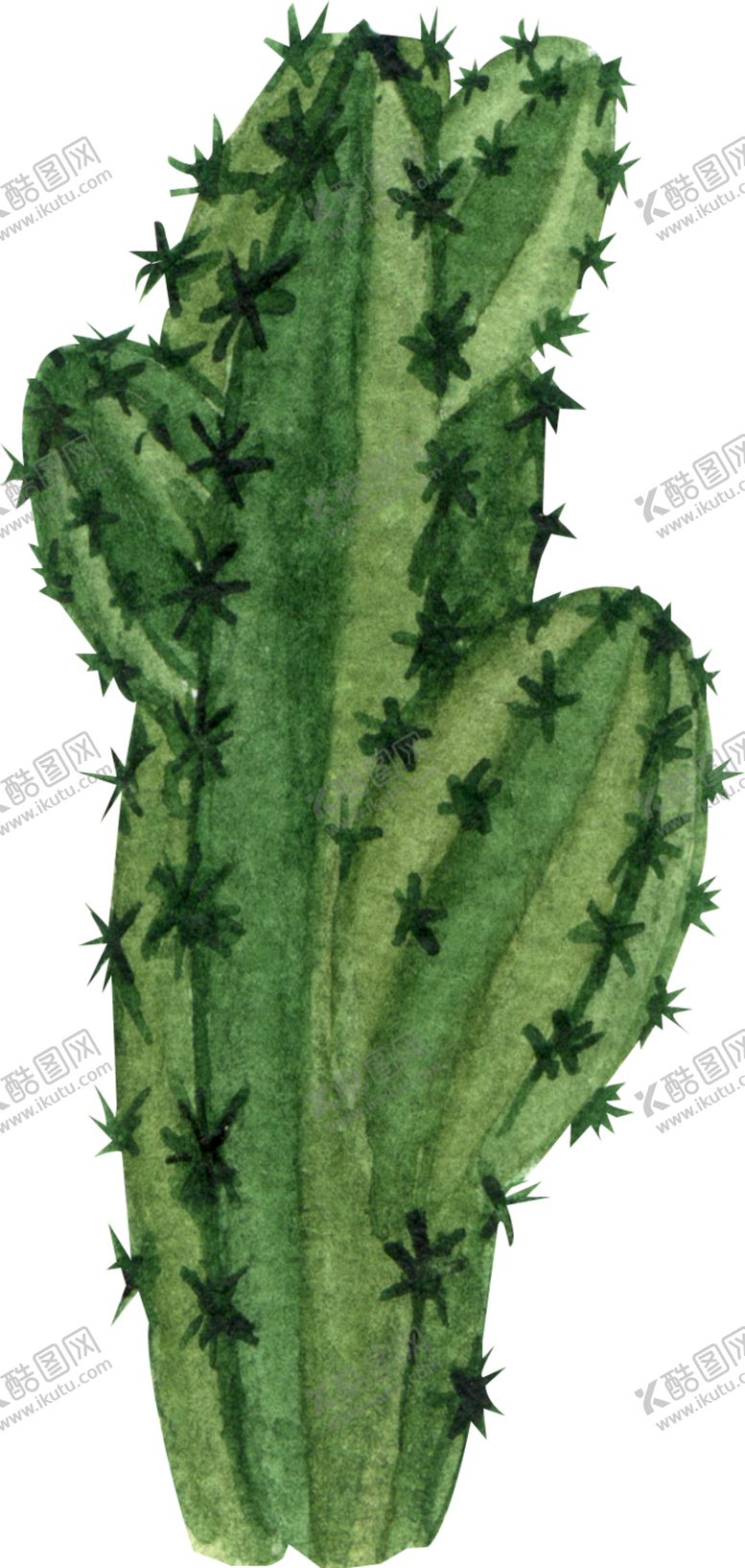 编号：36224506260402211052【酷图网】源文件下载-绿植水彩插画