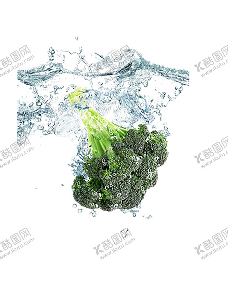 编号：29432810021934055484【酷图网】源文件下载-水花