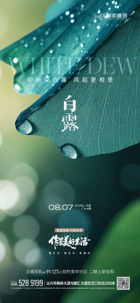 2025白露二十四节气节日海报