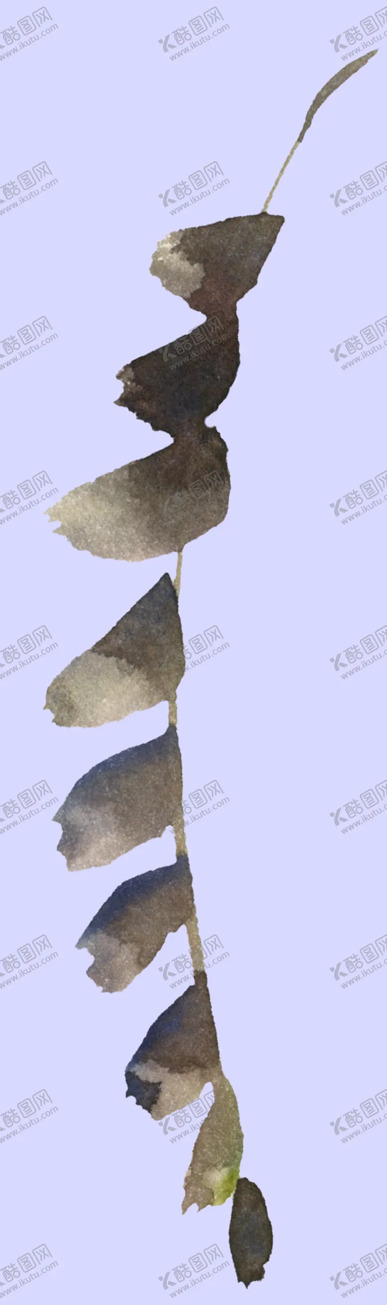 编号：20900812071219132956【酷图网】源文件下载-植物水彩画