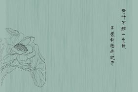 荷花背景诗歌诗画