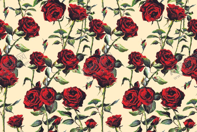 编号：20537309241128011352【酷图网】源文件下载-玫瑰花