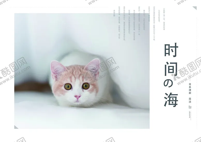 编号：52638010052018562196【酷图网】源文件下载-日系写真画册相册留着夏的记忆