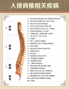 脊柱框场景样机