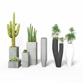 C4D模型绿色植物花盆仙人掌盆景盆栽