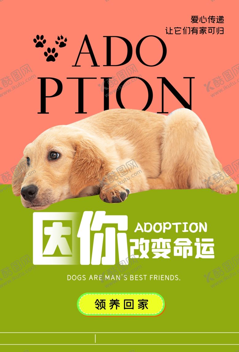 编号：90297901270337423683【酷图网】源文件下载-宠物海报