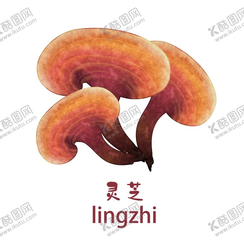 编号：61365507060424315331【酷图网】源文件下载-草本植物药材