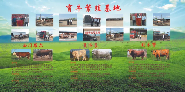 编号：94180507062013227089【酷图网】源文件下载-育牛基地