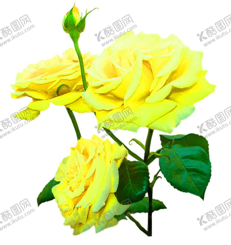 编号：55027209281232211226【酷图网】源文件下载-浪漫素材