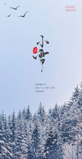 小雪专题海报