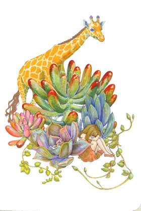 png格式植物花卉手绘素材多肉插画插图