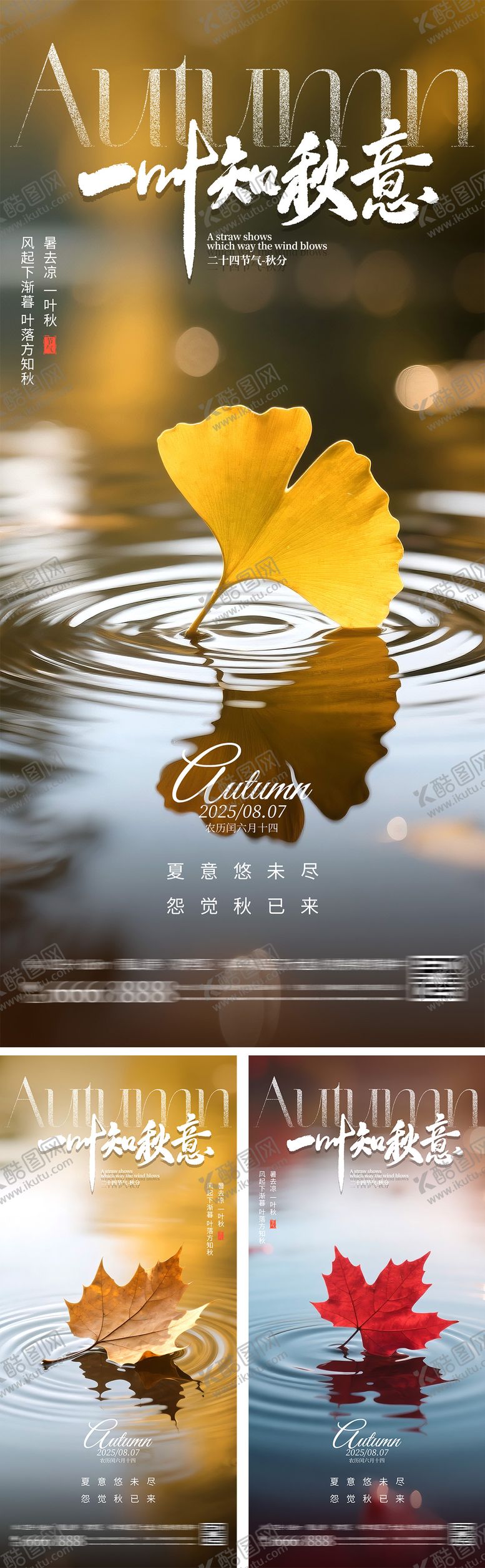 编号：40238508102306459999【酷图网】源文件下载-一叶知秋秋分节气海报