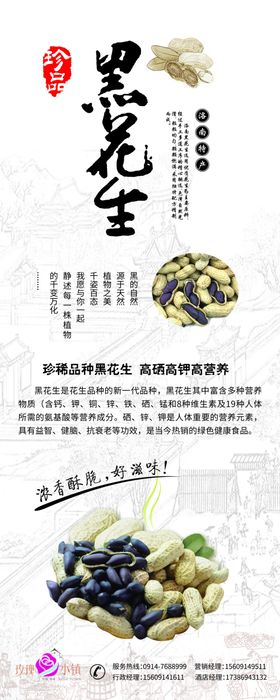 黑花生易拉宝
