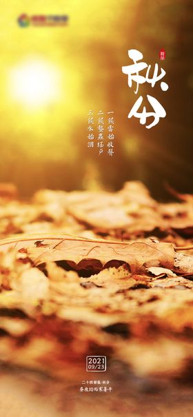 二十四节气海报秋分图片