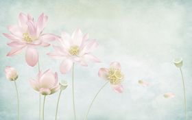 工笔花鸟背景墙装饰画
