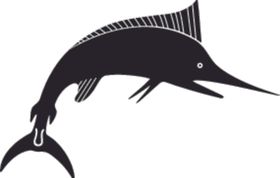 海洋生物系列剑鱼