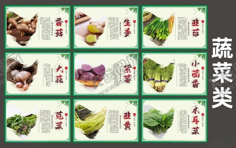 编号：72194706051016191245【酷图网】源文件下载-蔬菜展板