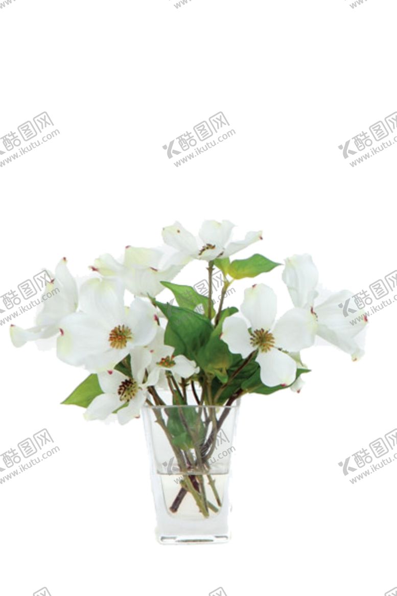 编号：81055307140538218176【酷图网】源文件下载-免抠背景花草树木