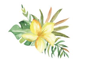 水彩植物花朵图案