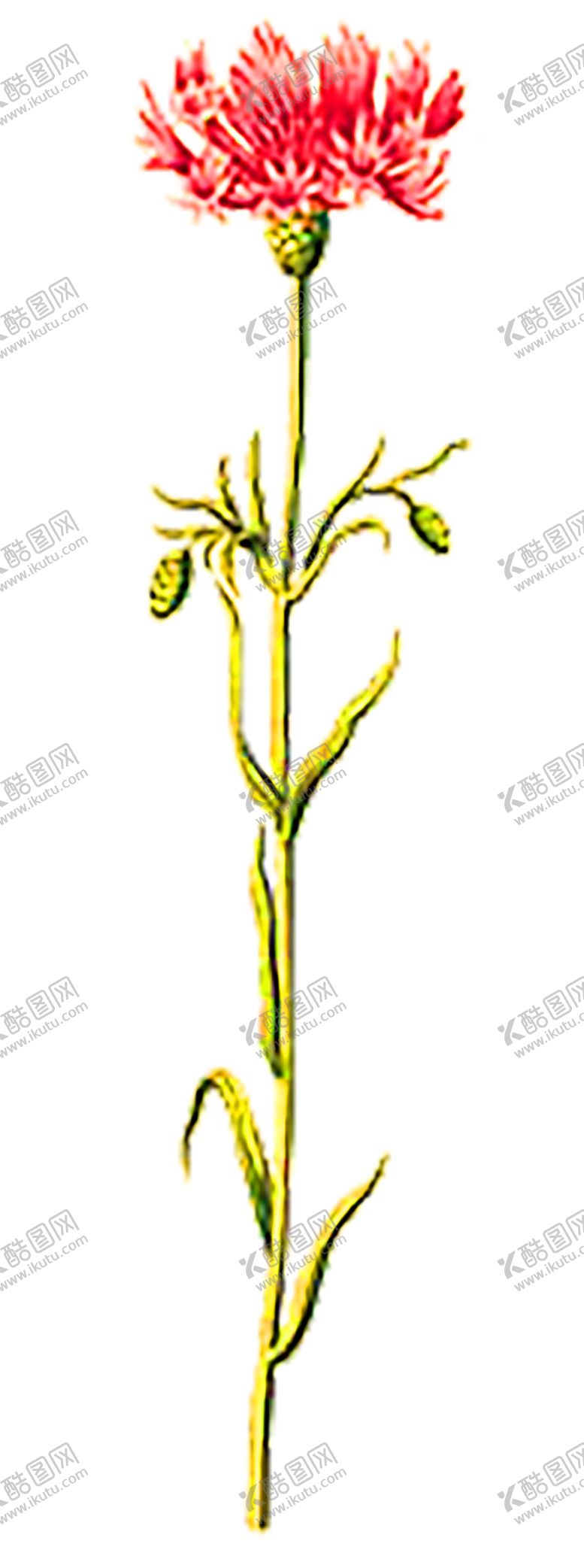 编号：99236010302254091470【酷图网】源文件下载-浪漫素材