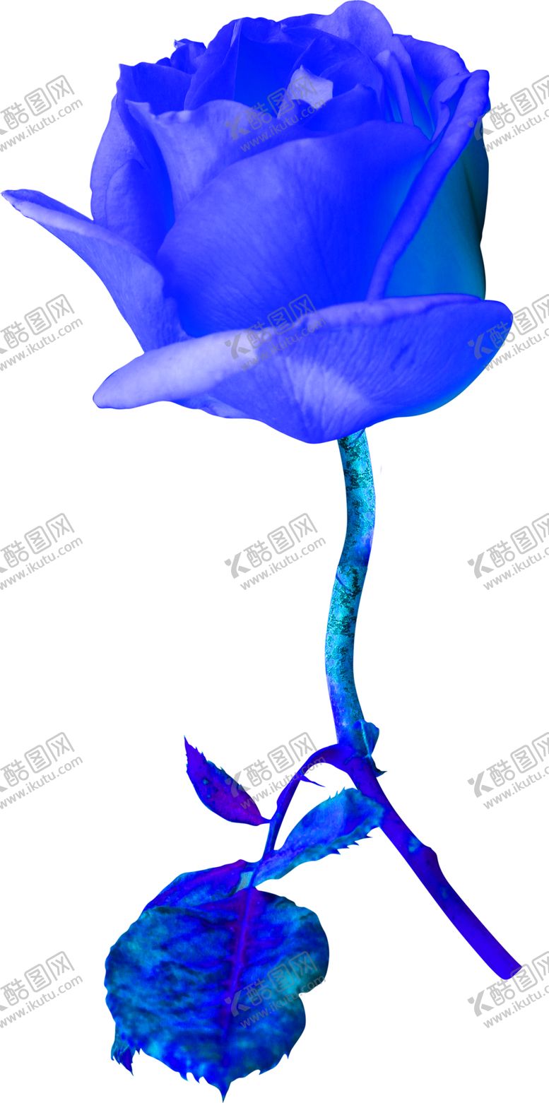 编号：45668210251653565474【酷图网】源文件下载-花素材