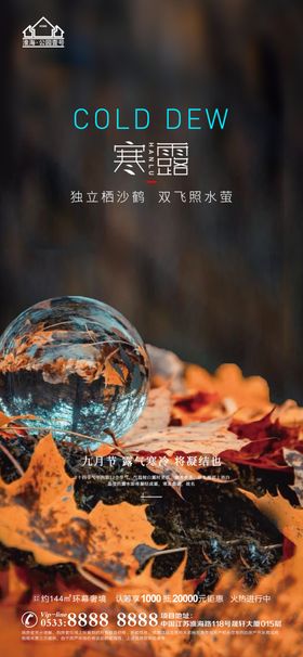 地产寒露大寒小寒微信节气意境刷屏雪
