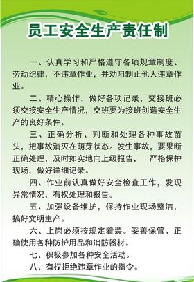 员工安全生产责任制