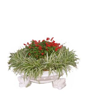绿色植物室内背景墙沙发背景墙砖墙