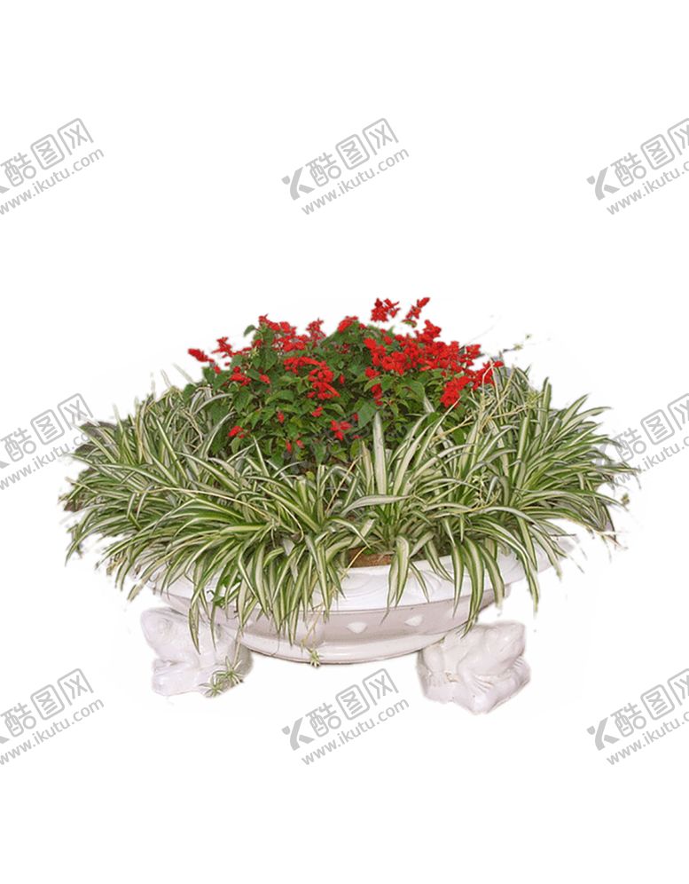 编号：98170807050148301731【酷图网】源文件下载-绿色植物
