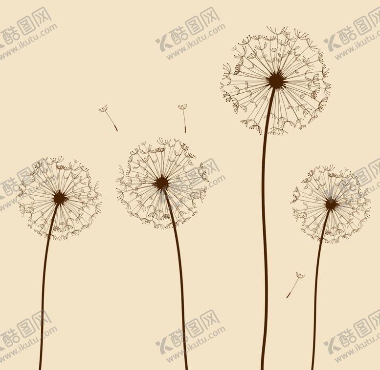 编号：59031906240716218654【酷图网】源文件下载-蒲公英