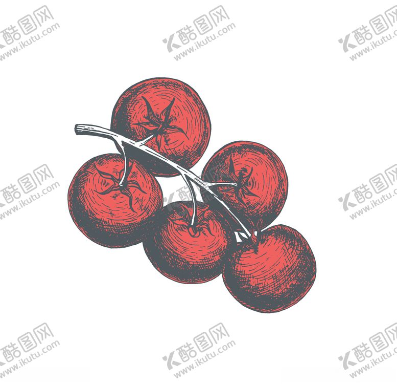 编号：17241710111955213106【酷图网】源文件下载-蔬菜