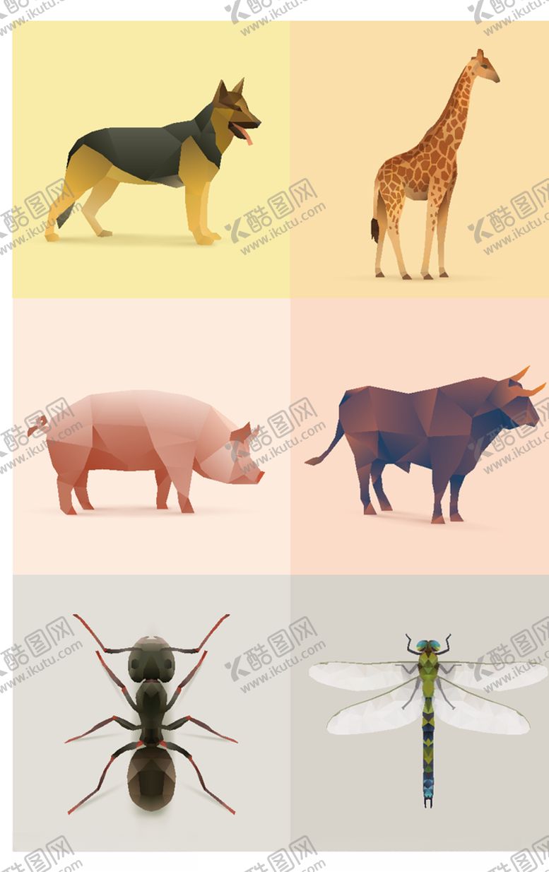 编号：31518609291447019891【酷图网】源文件下载-动物昆虫