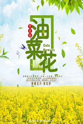 春季旅游