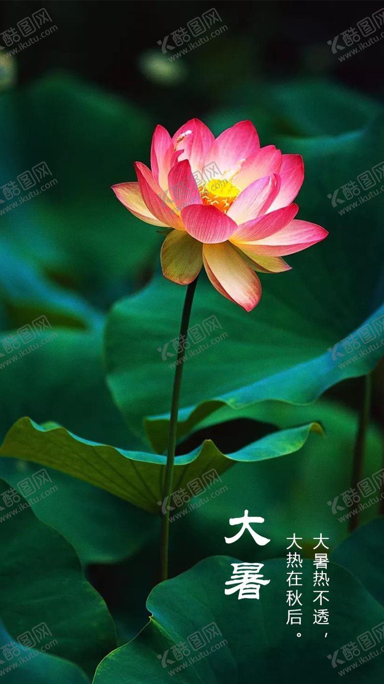 编号：88352907140443194768【酷图网】源文件下载-大暑