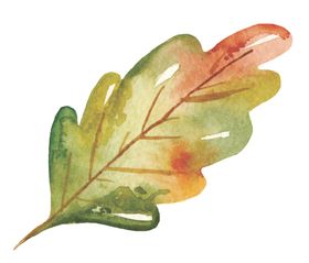 秋天水彩插画森林元素