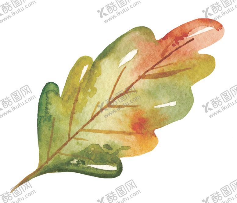 编号：90274709201023401554【酷图网】源文件下载-秋天水彩插画森林元素