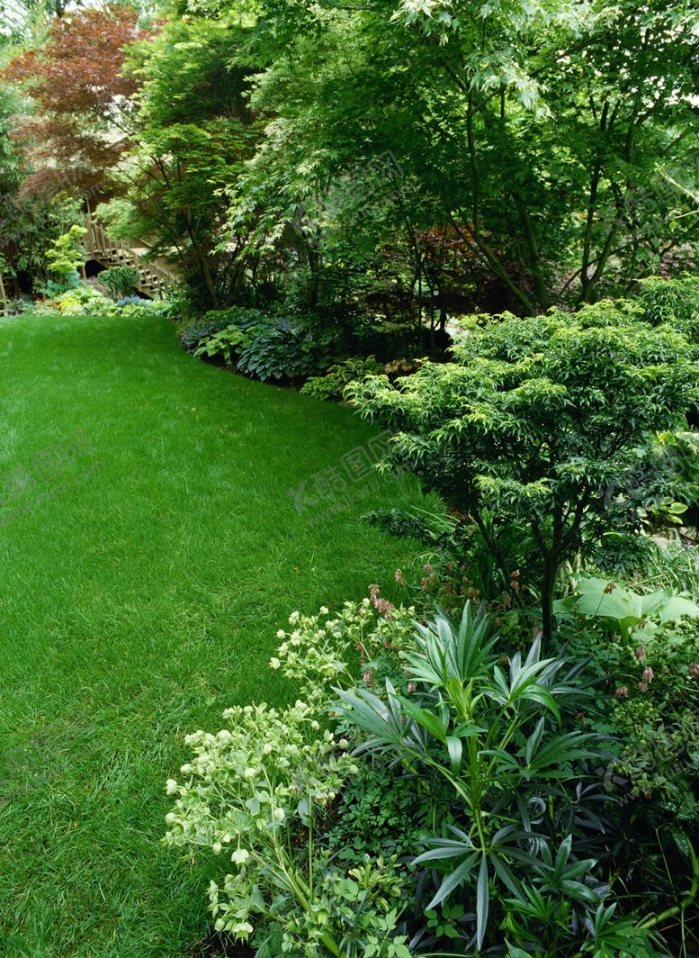 编号：82196509150157479109【酷图网】源文件下载-绿植图片