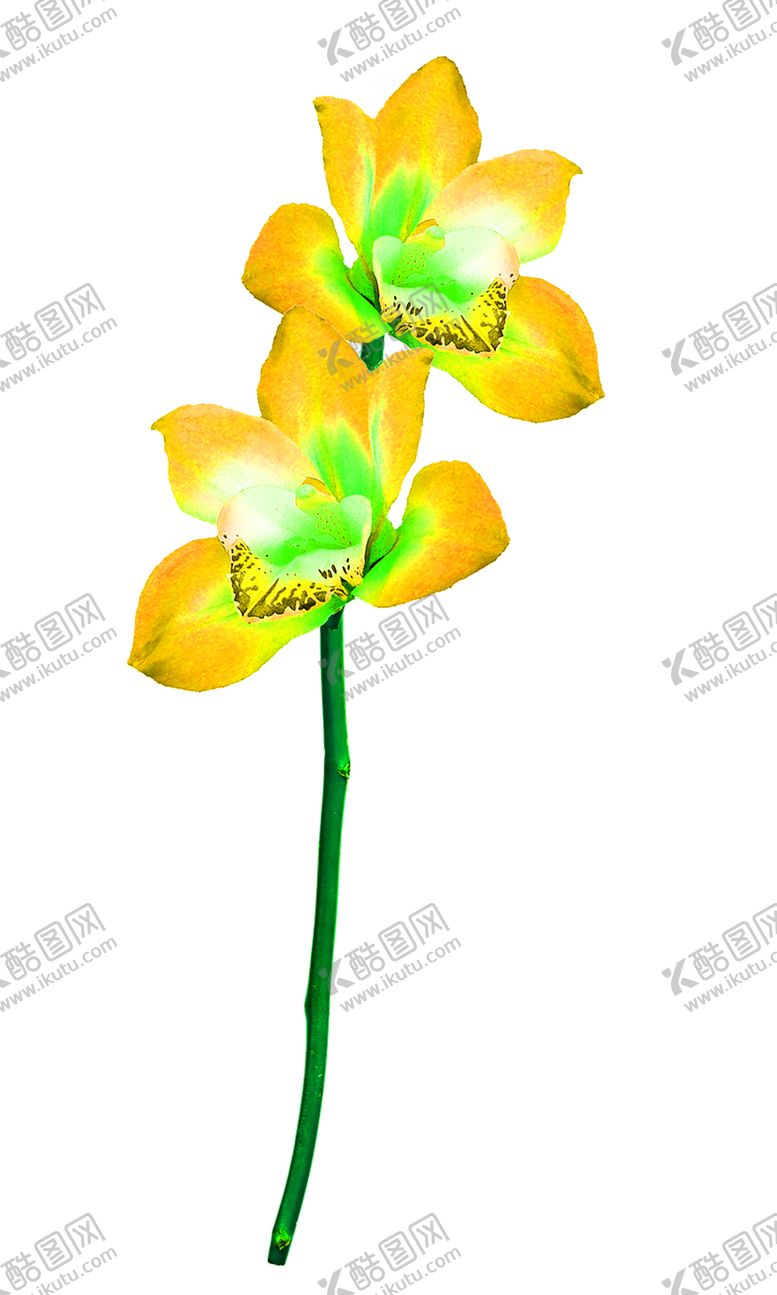 编号：50623610251850214755【酷图网】源文件下载-花素材