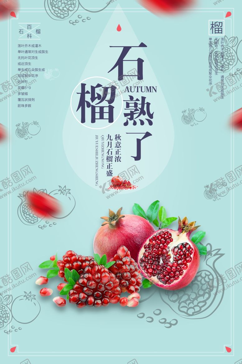 编号：69769009220900311709【酷图网】源文件下载-石榴熟了