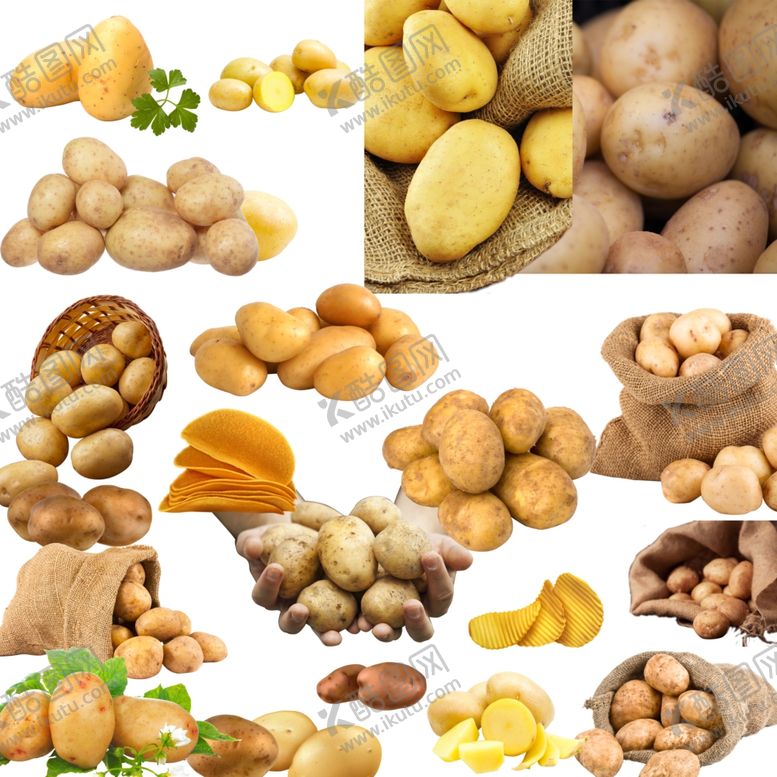 编号：92339610061721251006【酷图网】源文件下载-土豆