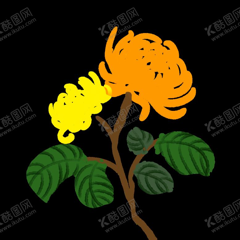 编号：67089509230712213960【酷图网】源文件下载-菊花