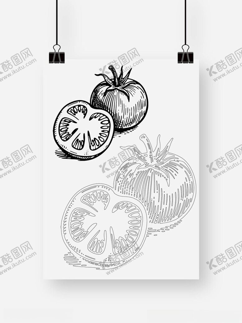 编号：83031609250643355028【酷图网】源文件下载-西红柿番茄