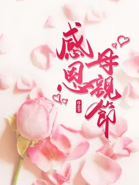 母亲节约惠感恩快乐