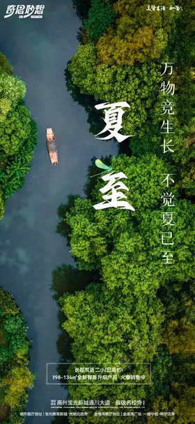 夏至节日海报原创设计