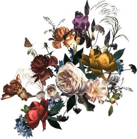 装饰花png