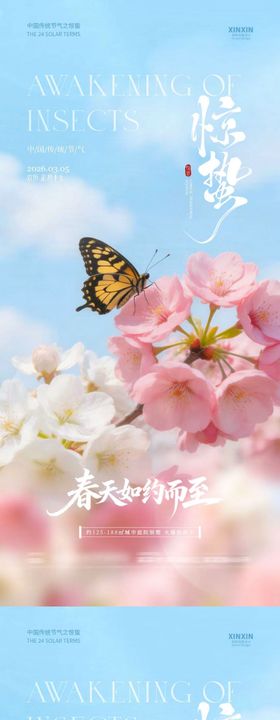 地产惊蛰花朵摄影系列海报