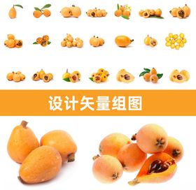手绘线条矢量枇杷
