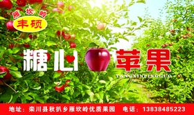 糖心苹果